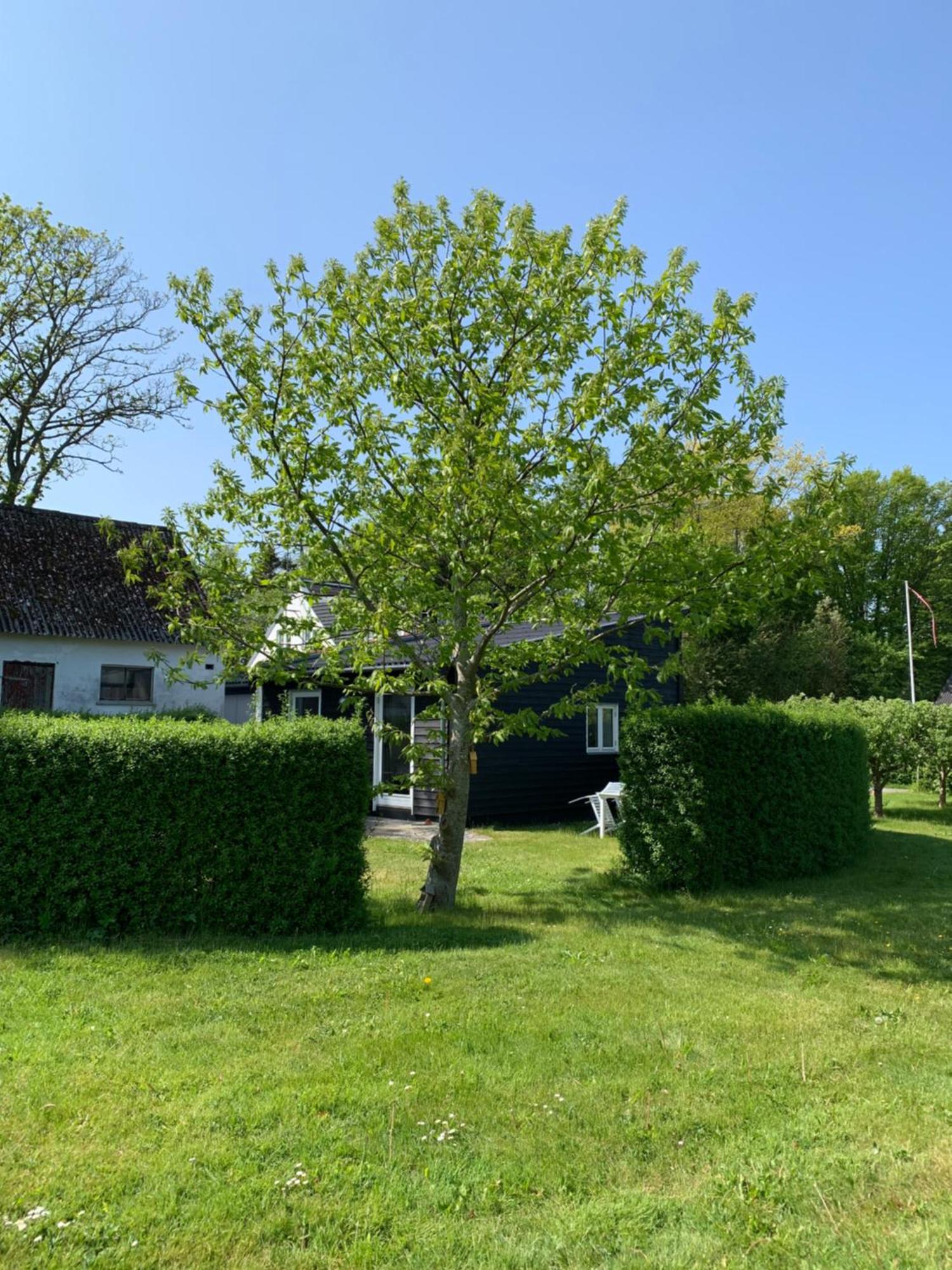Tusindfrugt B&B Store Heddinge Exterior photo